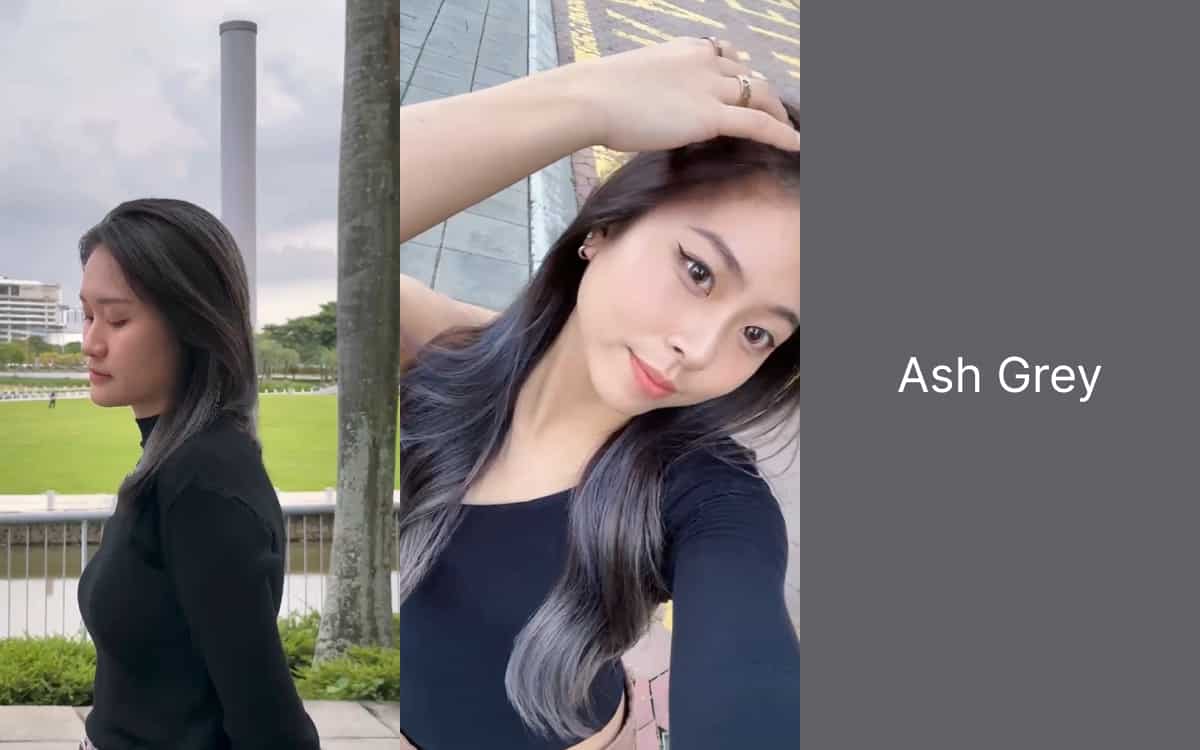 Ash Grey Hair Colour