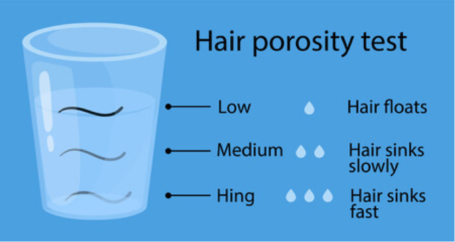 How to Determine Your Hair Porosity