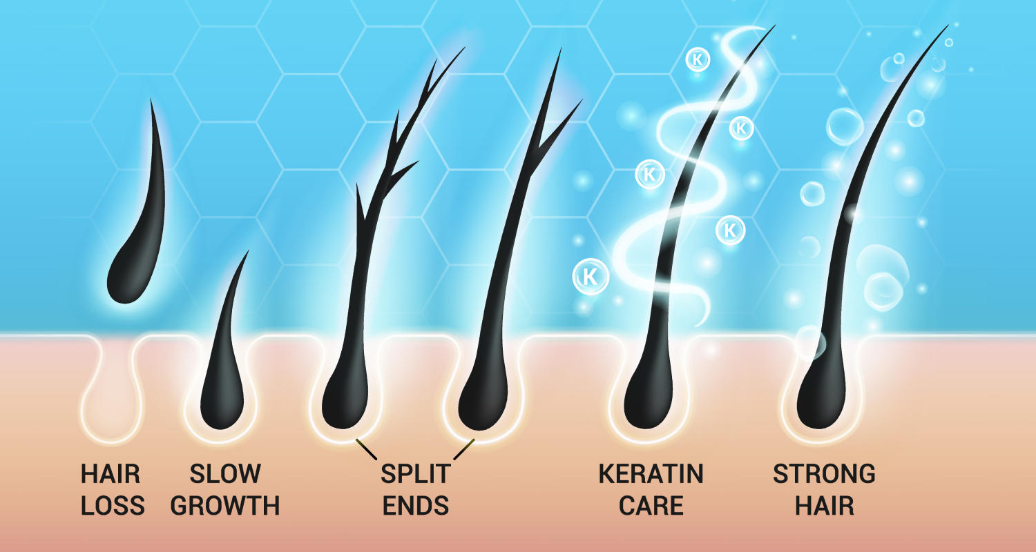 The Connection Between Scalp Care and Hair Growth